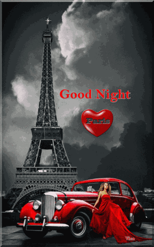 Good Night GIF