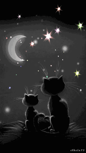Good Night GIF