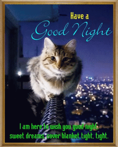Good Night GIF