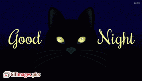 Good Night GIF