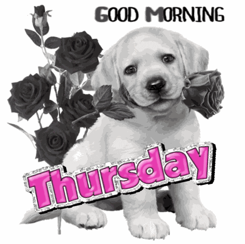 Good Thursday Morning GIF