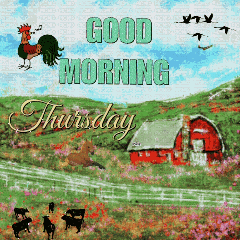 Good Thursday Morning GIF