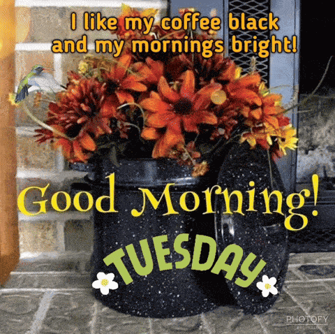 Good Tuesday Morning GIF