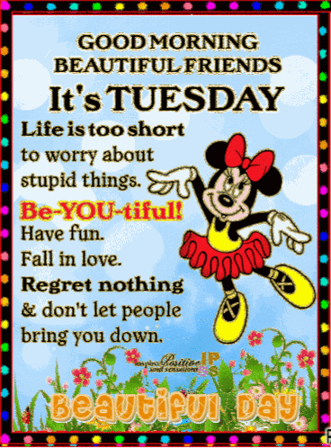 Good Tuesday Morning GIF