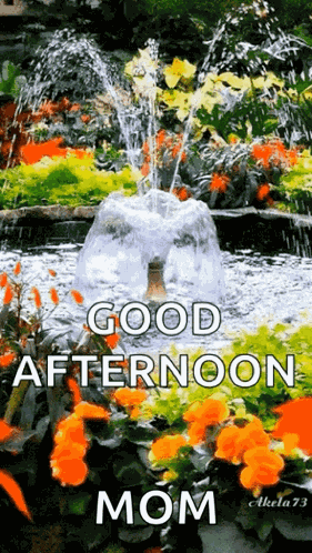 Goodafternoon Fountain GIF