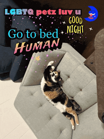 Goodbye Cat Goodnight Gays GIF