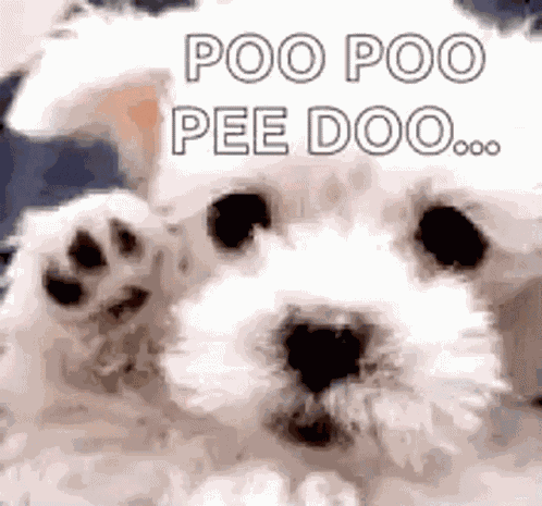 Goodbye Dog GIF