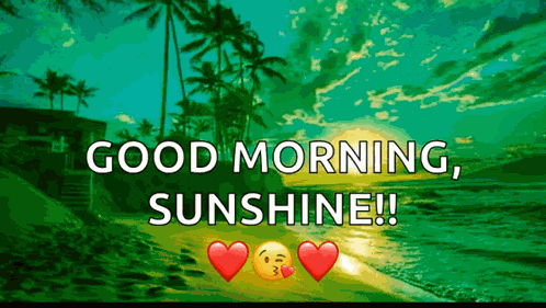 Goodmorning Beach GIF
