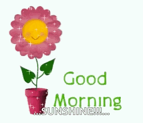 Goodmorning Flower GIF