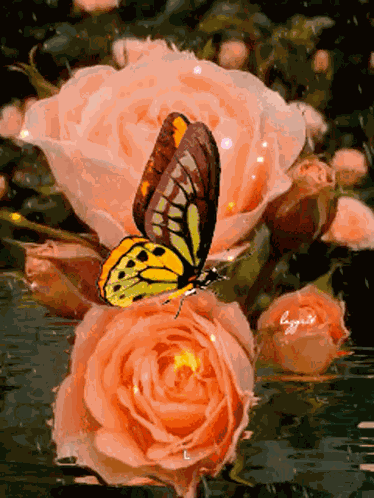 Goodmorning Flowers GIF