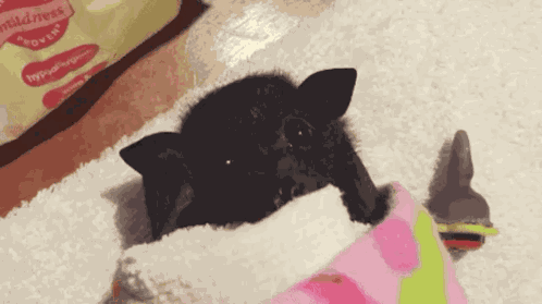 Goodmorning Goodmorningbat GIF