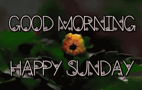 Goodmorning Happy GIF