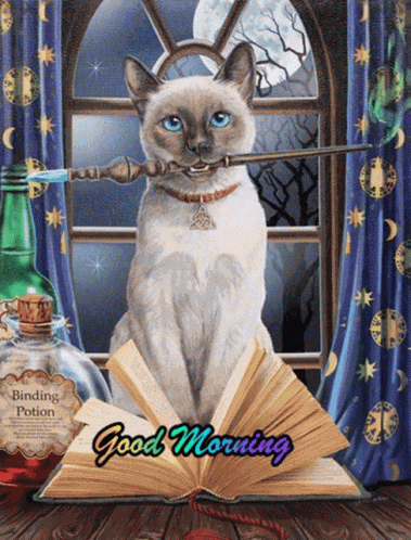 Goodmorning GIF