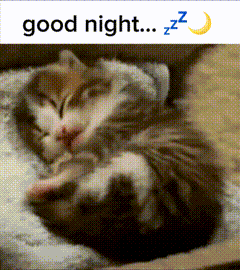 Goodnight Gn GIF