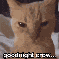 Goodnight Good Night GIF