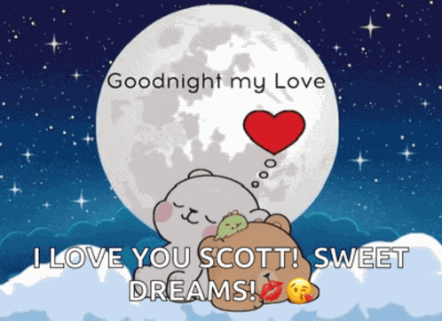 Goodnight I Love You Meme