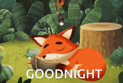 Goodnight Odo GIF