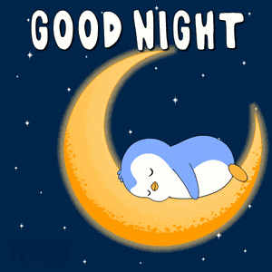 Goodnight Sleep GIF