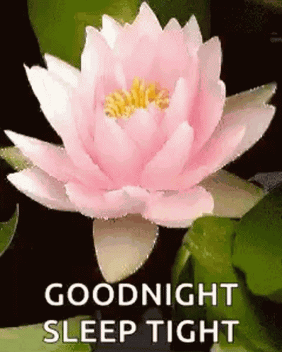 Goodnight Sleep Tight GIF
