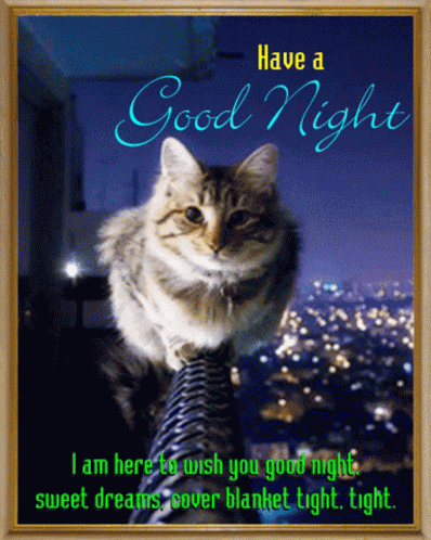 Goodnight Sleep Tight GIF