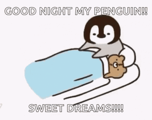 Goodnight Sleep GIF