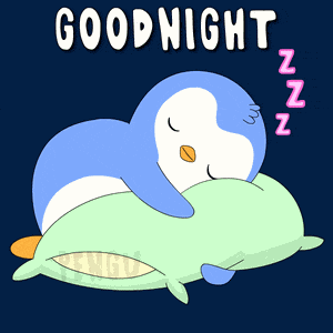 Goodnight Sleep GIF