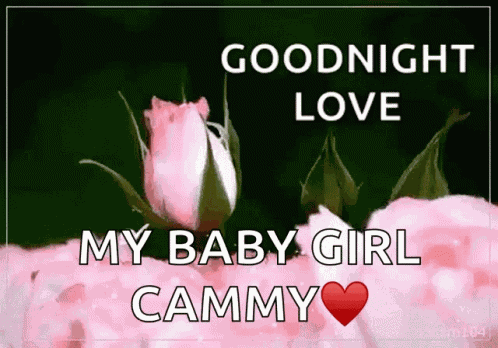 Goodnight Sparkles GIF