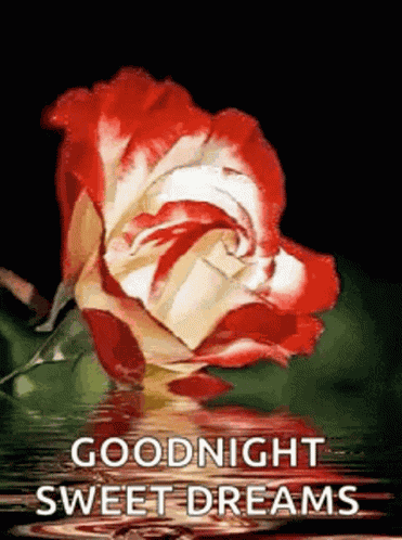 Goodnight Sweet Dreams GIF