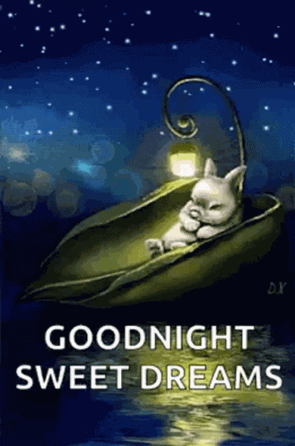 Goodnight Sweet Dreams GIF