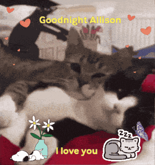 Goodnight GIF