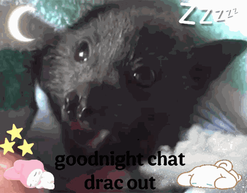 Goodnightbat Dracgoodnight GIF