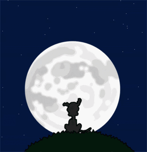 Goodnightlove Goodnightloveyou GIF