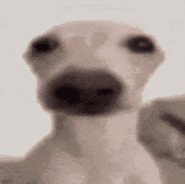 Goofy Ahh Dog GIF