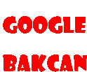 Google Sticker