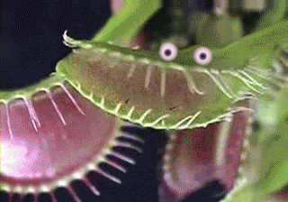 Googly Eyes Silly GIF