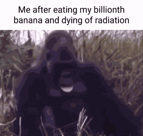Gorilla Banana GIF