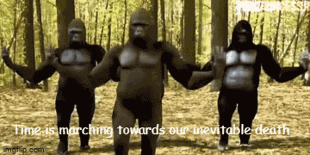 Gorilla Dance Gorilla GIF