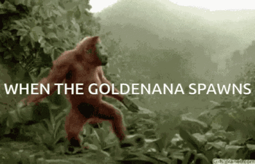 Gorilla Quest Goldenana GIF