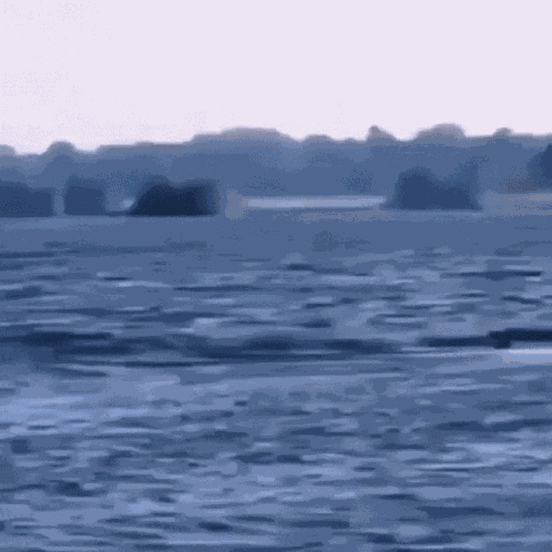 Gorilla Run GIF
