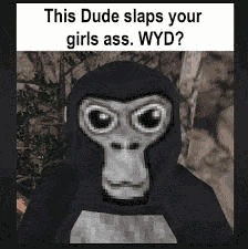 Gorilla Tag Meme