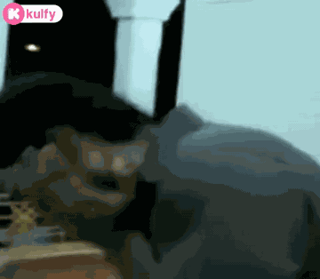 Got Slapped.Gif GIF