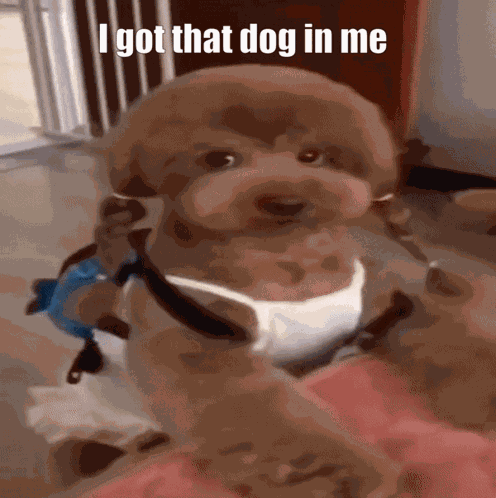 Got That Dog In Me Doggy GIF