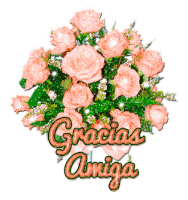Gracias Amiga Sticker