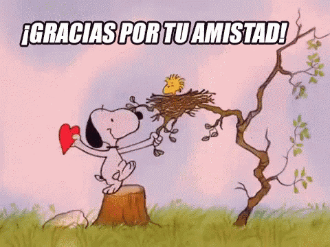 Gracias Por Tu Amistad GIF