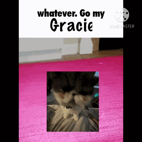 Gracie Whatever Go My Gracie GIF