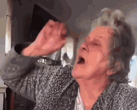 Granny Granny Game GIF