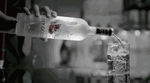 Gray Goose Alcohol GIF