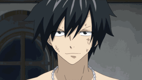 Gray Gray Fullbuster GIF