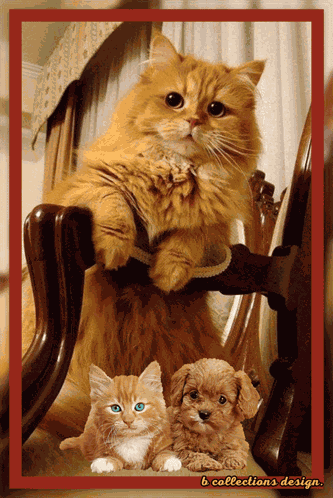 Great Day Have A Great Day GIF