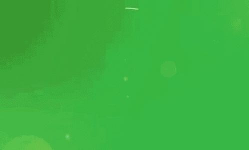 Green Party Green GIF